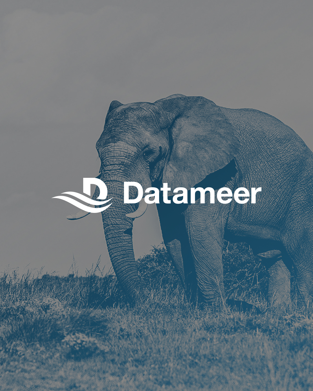 Datameer